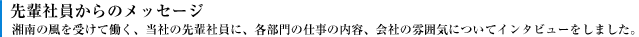 先輩社員からのメッセージ