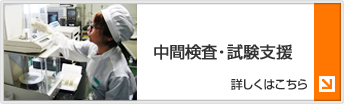 中間検査・試験支援